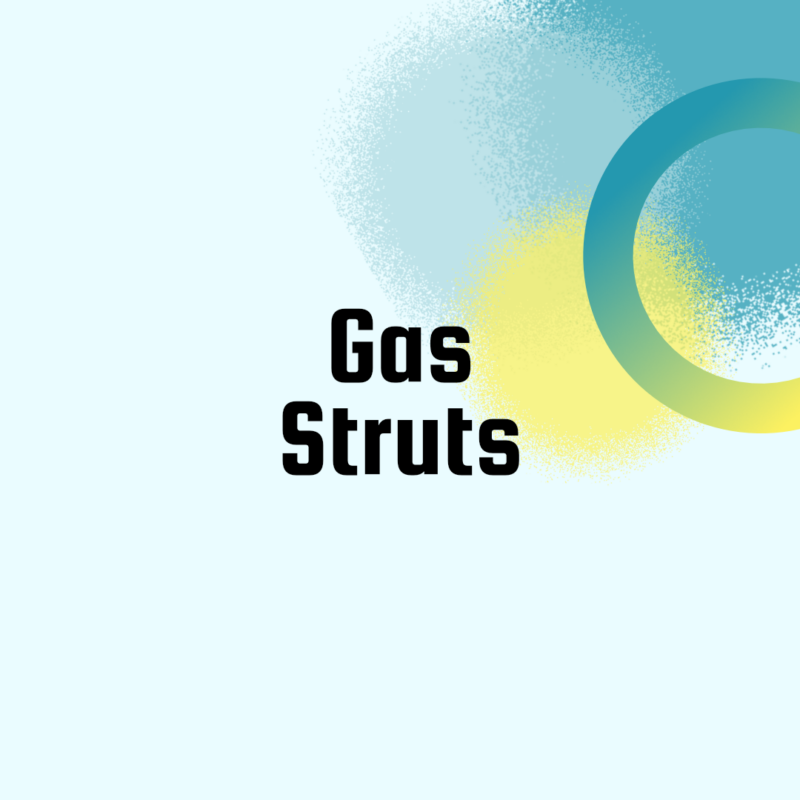 Gas struts